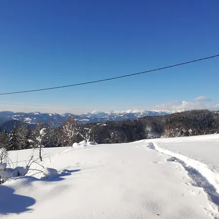 Forest Peace, Lavrovec Tatil Evi Hlevni Vrh