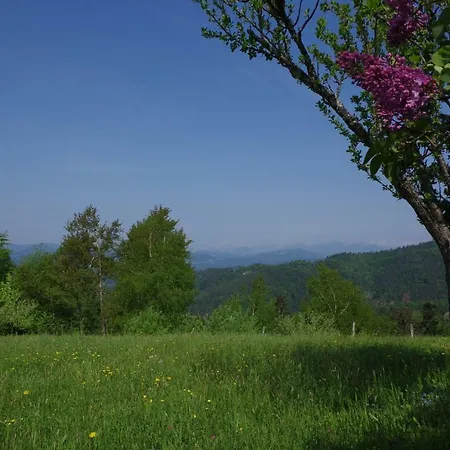 Forest Peace, Lavrovec * Hlevni Vrh