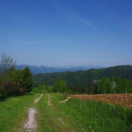 Forest Peace, Lavrovec * Hlevni Vrh