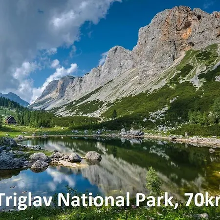 Forest Peace, Lavrovec * Hlevni Vrh