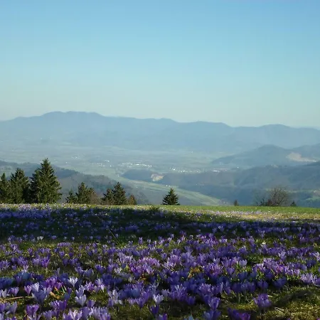 Casa de Férias Forest Peace, Lavrovec Hlevni Vrh