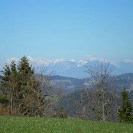 Forest Peace, Lavrovec