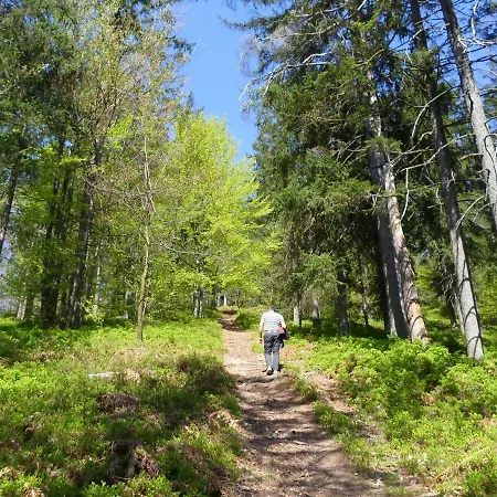 Ferienhaus Forest Peace, Lavrovec *