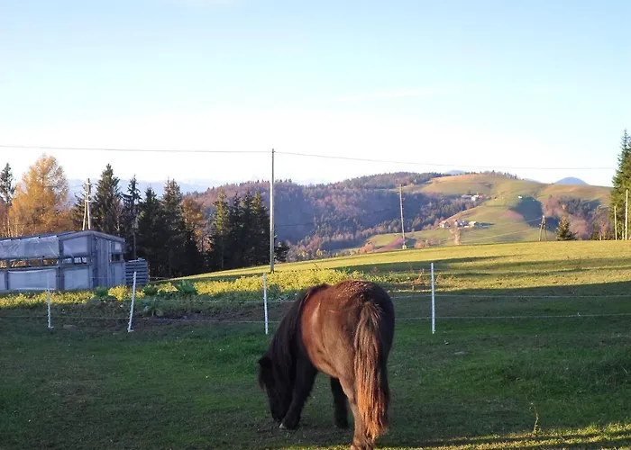 Forest Peace, Lavrovec 別荘