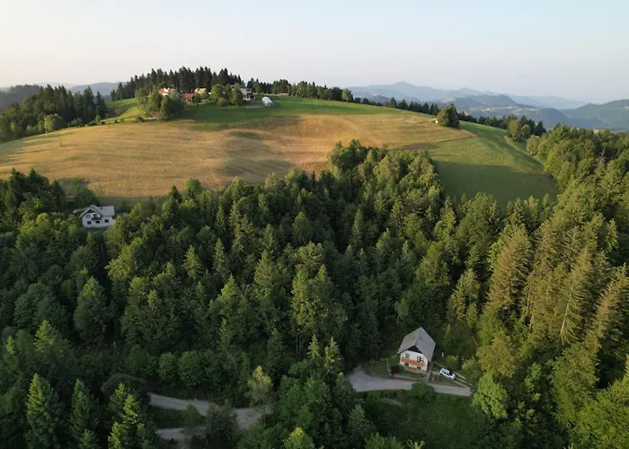 Forest Peace, Lavrovec Hlevni Vrh
