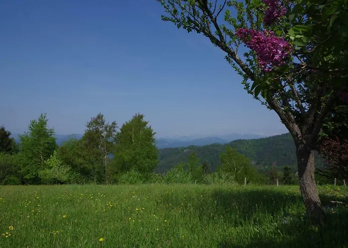 Forest Peace, Lavrovec * Hlevni Vrh