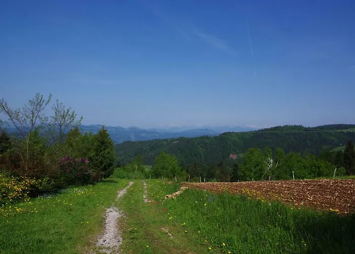 Forest Peace, Lavrovec * Hlevni Vrh