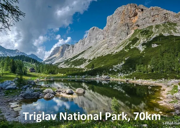 Forest Peace, Lavrovec * Hlevni Vrh