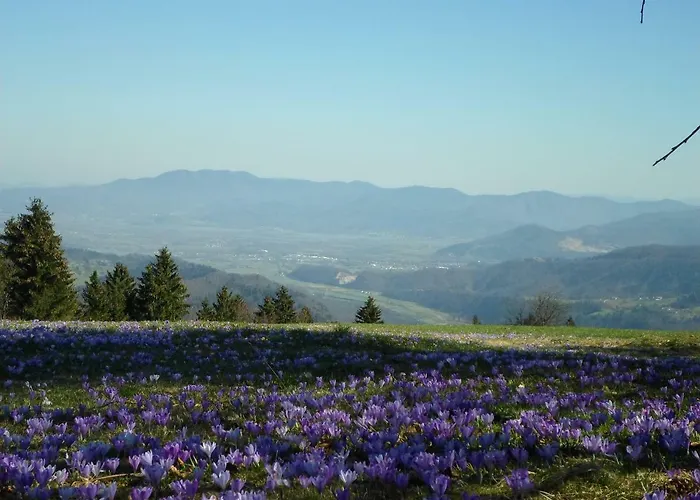 別荘 Forest Peace, Lavrovec Hlevni Vrh