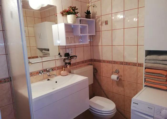 Forest Peace, Lavrovec *