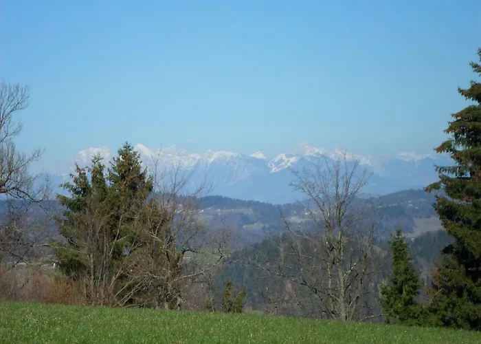 Forest Peace, Lavrovec