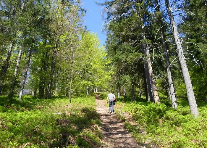 Σπίτι διακοπών Forest Peace, Lavrovec *
